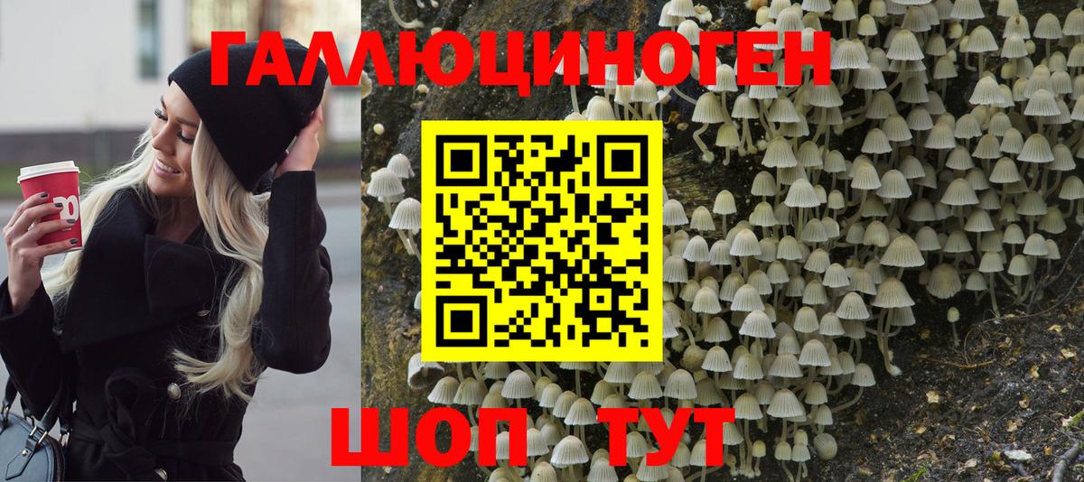 где найти наркотики  Вход с VPN  Ханты-Мансийск  Псилоцибиновые грибы прущие грибы 